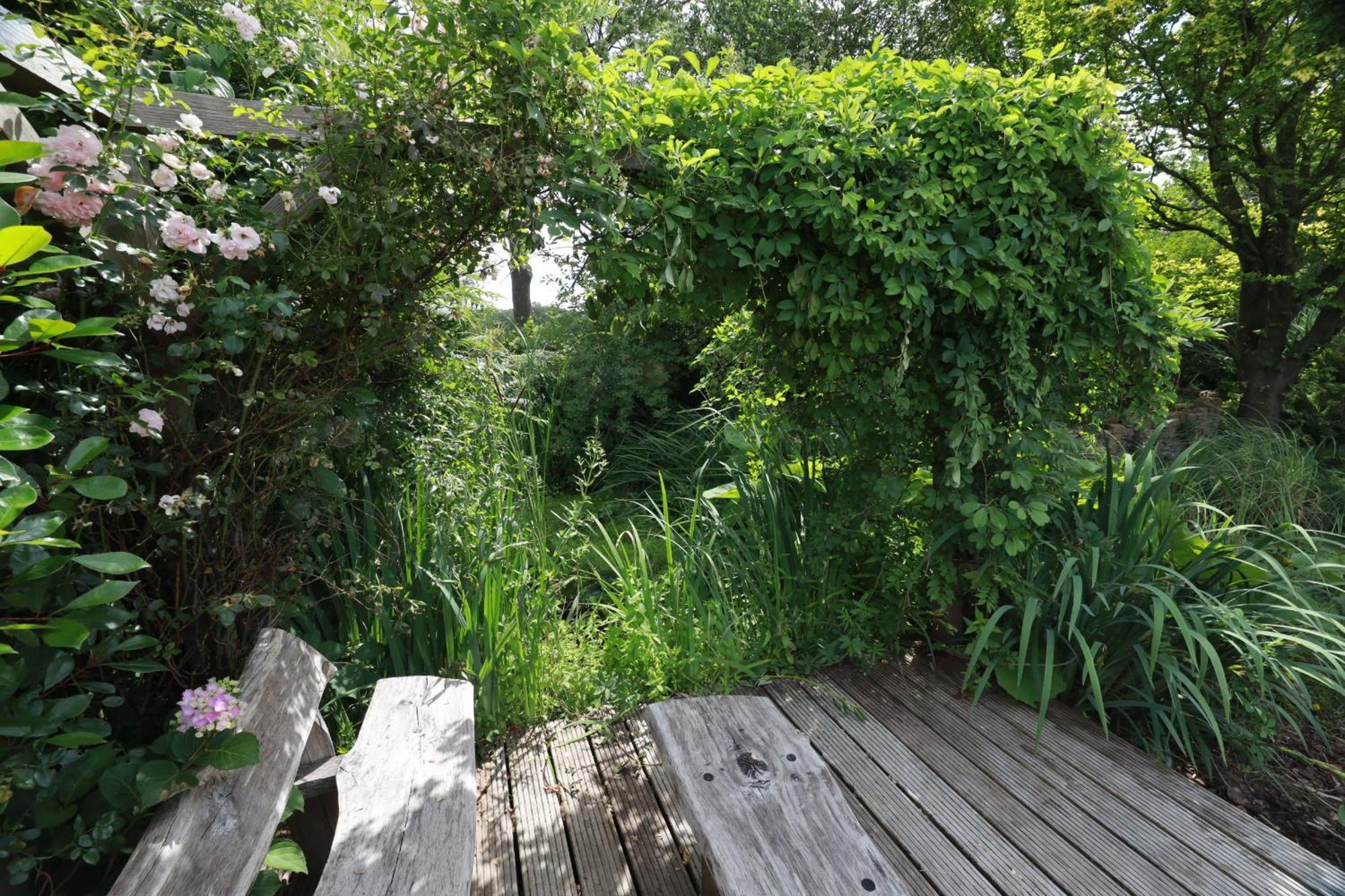 Wellnessappartement 'T Wechtertje Wijhe Exteriér fotografie